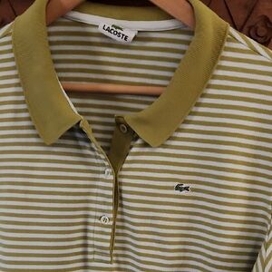 Lacoste Olive and White Striped Polo